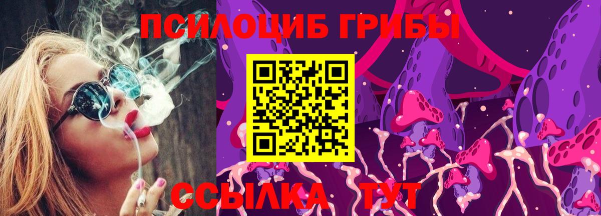 Псилоцибиновые грибы прущие грибы Усинск